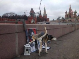 Мля, я ни разу не удивлён.
Заглянул к аффтару....там мои только шпалы.
ЗА ВСЕ ЕГО ТЕМЫ.
Совпадение? Не думаю.