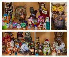 Я сов собираю.