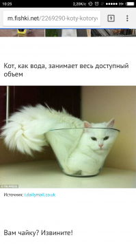 Жидкость принимает форму сосуда, а газ занимает весь доступный объем. 
Я, гуманитарий-социолог поправляя Вас.  Задумайтесь.