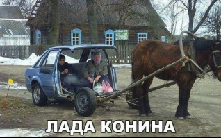 Что здесь, простите, происходит? Смешные фотографии из сети