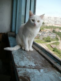 а это мой :)