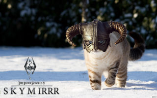 Боевые доспехи для животных