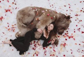 О чем должна говорить данная композиция с липестками роз?