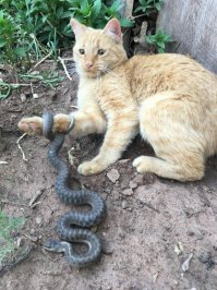 Какой ужас