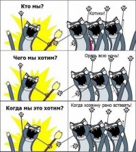 Весна + котэ