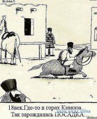 Один день из жизни униженных автомобилей