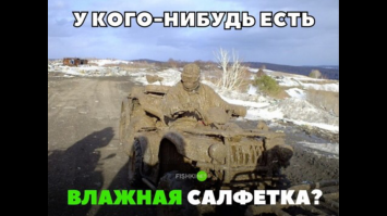 Шедевры по грязи: как можно рисовать на немытых машинах 