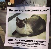 Что здесь, простите, происходит? Смешные фотографии из сети