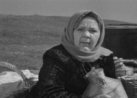 Валентина Телегина. Но сходства не очень много, на мой взгляд