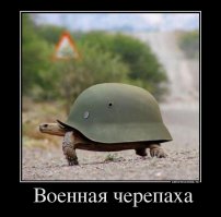 Боевые доспехи для животных