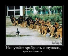 Фотоподборка за 17.04.2017