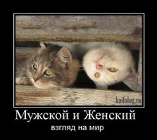 Фотоподборка за 17.04.2017