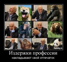 Фотоподборка за 17.04.2017