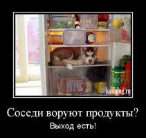 Фотоподборка за 17.04.2017