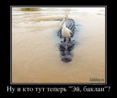 Фотоподборка за 17.04.2017