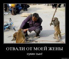 Без доспехов, но с оружием в руках. XXI век.