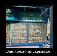 Фотоподборка за 17.04.2017