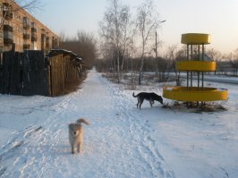Минусинск)))