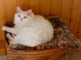 Вот так мы спим.