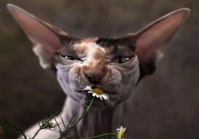 Фотоподборка за 17.04.2017