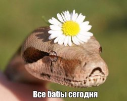 Фотоподборка за 17.04.2017