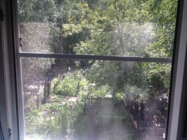 вот где жуть