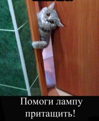 Хватай правого!