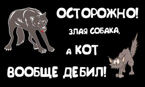 Почтальоны страдают не только от собак, но и от кошек!