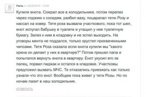 Собаки-улыбаки!