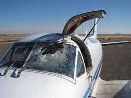 Во-первых, сетка не выдержит столкновения, поскольку самолёт движется со скоростью от 200-т до 300-т километров в час (если столкновение произойдёт на уровне высоты круга или выше, то и скорость может быть до 450- и даже 600-т км/ч).
Так что, тут не сетки, а какие-то решётки из стального прутка толщиной в сантиметр нужны. :)
А во-вторых, куда те решётки ставить будем? Повреждения ДВИГАТЕЛЕЙ от столкновением с птицами - лишь частный случай повреждений от столкновений с птицами. Повреждаются не только двигатели.