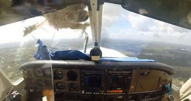 Во-первых, сетка не выдержит столкновения, поскольку самолёт движется со скоростью от 200-т до 300-т километров в час (если столкновение произойдёт на уровне высоты круга или выше, то и скорость может быть до 450- и даже 600-т км/ч).
Так что, тут не сетки, а какие-то решётки из стального прутка толщиной в сантиметр нужны. :)
А во-вторых, куда те решётки ставить будем? Повреждения ДВИГАТЕЛЕЙ от столкновением с птицами - лишь частный случай повреждений от столкновений с птицами. Повреждаются не только двигатели.