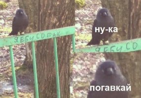 Картинки с надписями