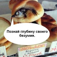 Добро  пожаловать, или посторонним вход воспрещен!