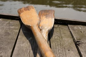 - а вас не били веслом по голове?
- нет, а что?
- да нет, ничего.
- бе-бе-бе!
- БАЦ!