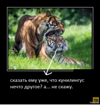 Весёлые демотиваторы!