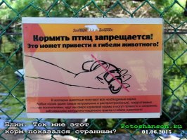 25 случаев, когда поход в зоопарк оказался смешным