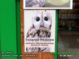 25 случаев, когда поход в зоопарк оказался смешным
