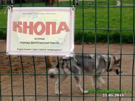 25 случаев, когда поход в зоопарк оказался смешным