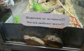 Фотоподборка за 20.04.2017