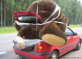 Девочка сыграла в прятки со скучающим в зоопарке медведем