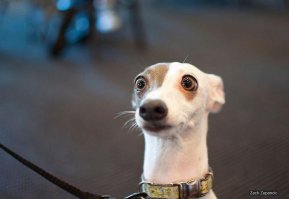 За отдых в России вернут до 120 тысяч рублей