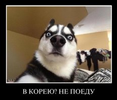 Журналист показал все разрешенные в КНДР прически