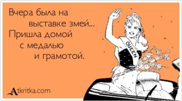 В Таиланде змея напала на ехавшего по дороге мотоциклиста