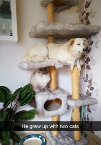 25 случаев, когда поход в зоопарк оказался смешным