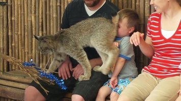 25 случаев, когда поход в зоопарк оказался смешным