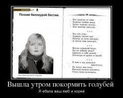 Нравиться мне этот дем: