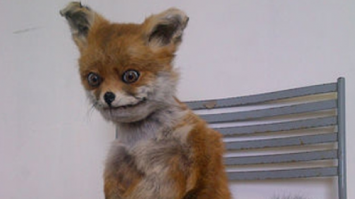 явно сдох, похож на этого