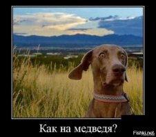 Для поднятия настроения