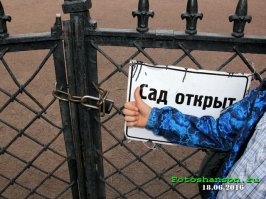 Они пошли против системы