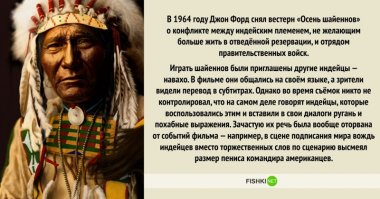 Немного не в тему. Какое здесь "мудрое решение"?